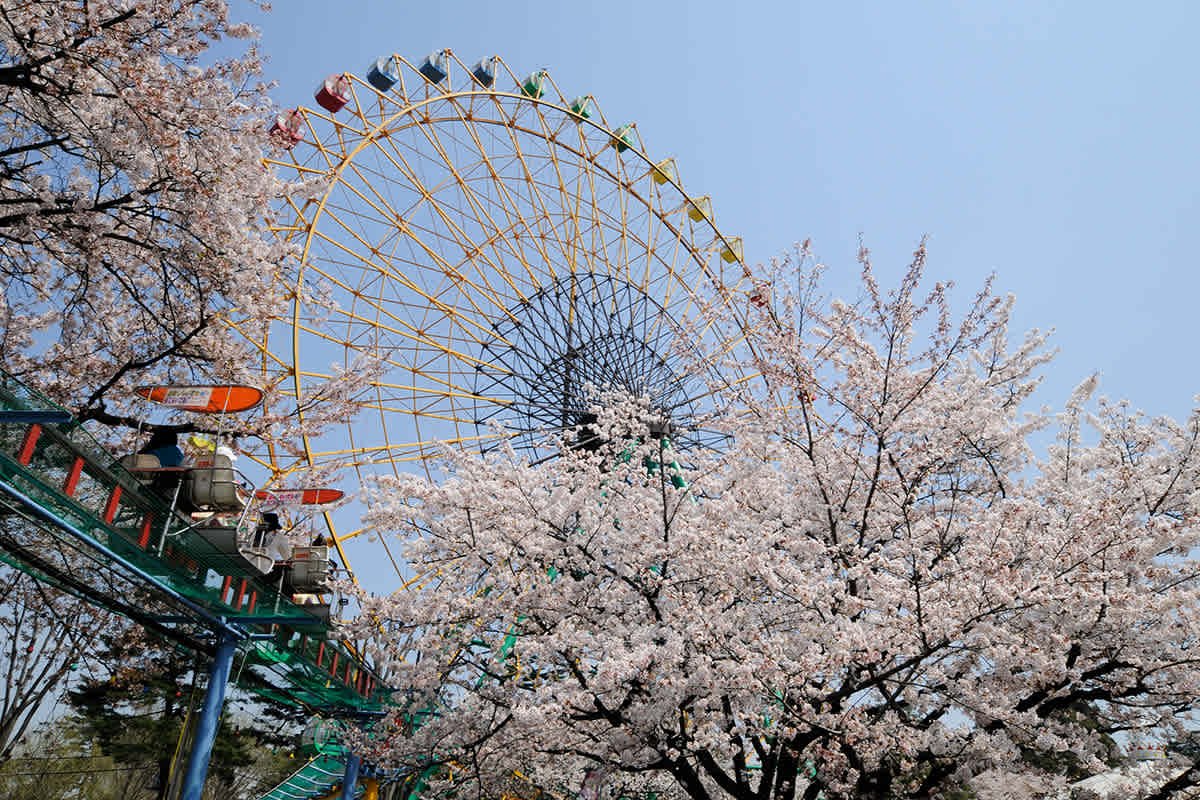 🎡 오토 미라이 화장사 유원지 (오토 미라이 케조지 유엔치)